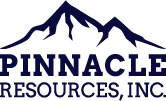 pinnacle logo